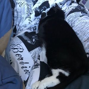 Meet your Posher, Belle